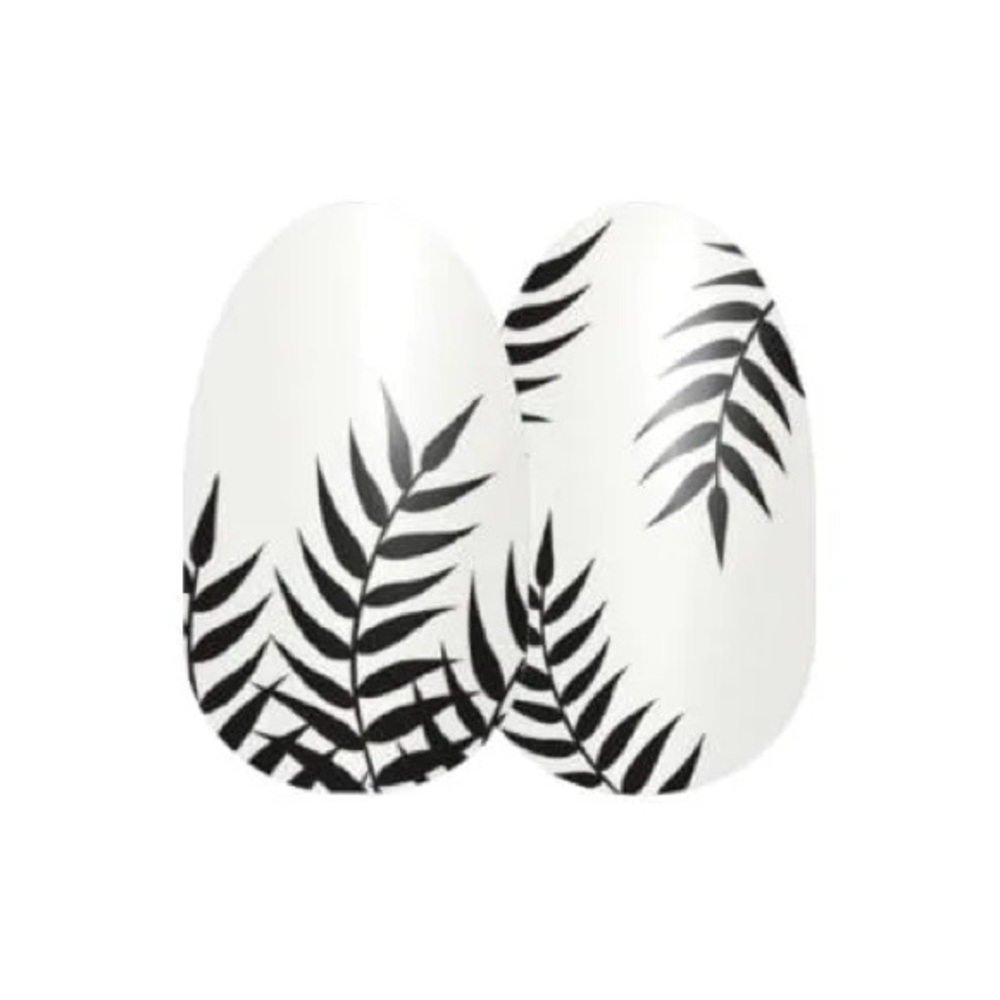 Palm Before the Storm • Color Street • Clear Overlay with Black Palm Fronds